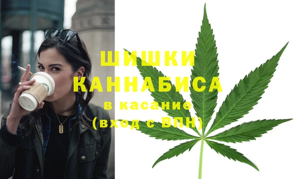 спайс Беломорск