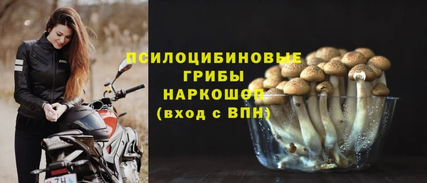спайс Беломорск