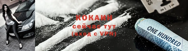 индика Баксан