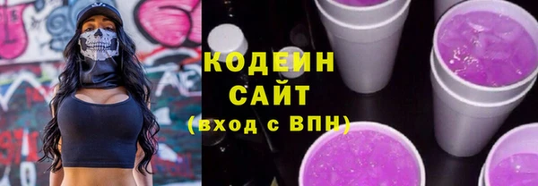 индика Баксан