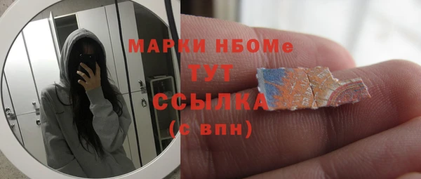 индика Баксан