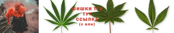 индика Баксан