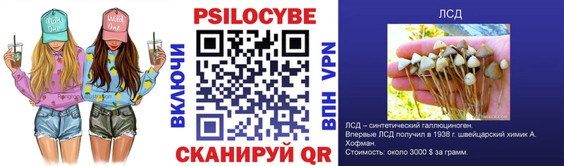 Галлюциногенные грибы ЛСД  магазин  наркотиков  Курильск 